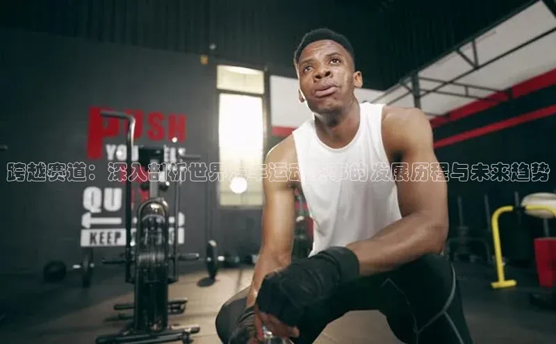 跨越赛道：深入剖析世界汽车运动赛事的发展历程与未来趋势