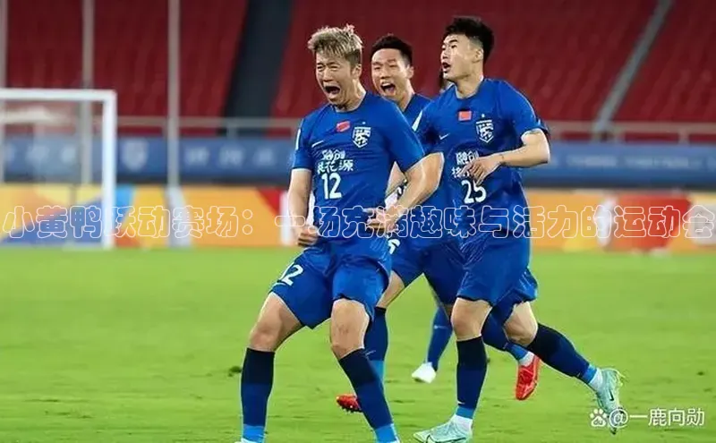 小黄鸭跃动赛场：一场充满趣味与活力的运动会