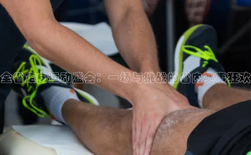 全省定向运动盛会：一场与挑战的省内赛事狂欢