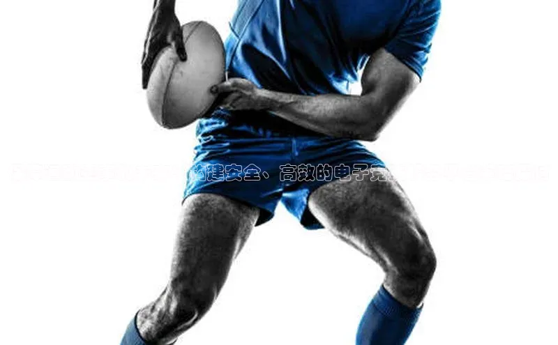 保障运动赛事的未来：构建安全、高效的电子竞技服务平台策略探讨