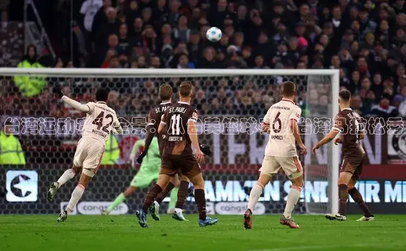 台湾运动赛事全景：从台美篮球赛到台湾马拉松秀