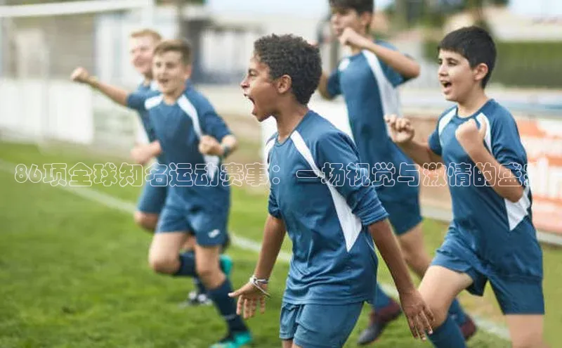 86项全球知名运动赛事：一场视觉与激情的盛宴