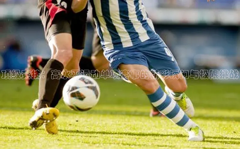 顶级竞技：高水平运动单项赛事的精彩瞬间与极限挑战