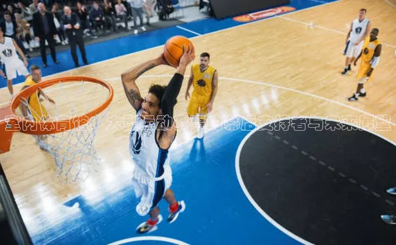 室内体育馆：大型运动赛事的幕后支持者与未来展望