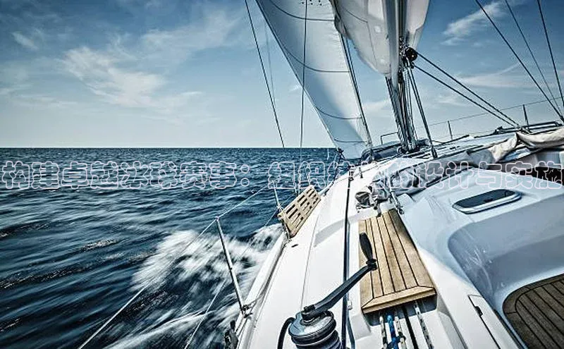 构建卓越冰球赛事：组织结构的设计与实施