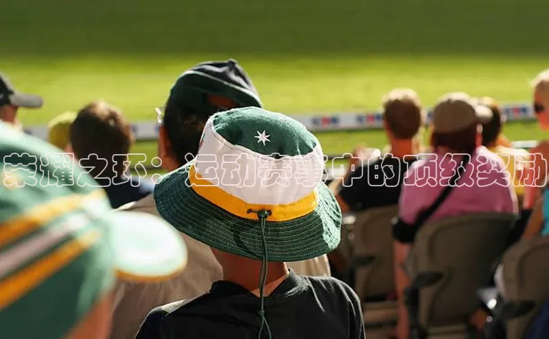 荣耀之环：运动赛事中的顶级奖励