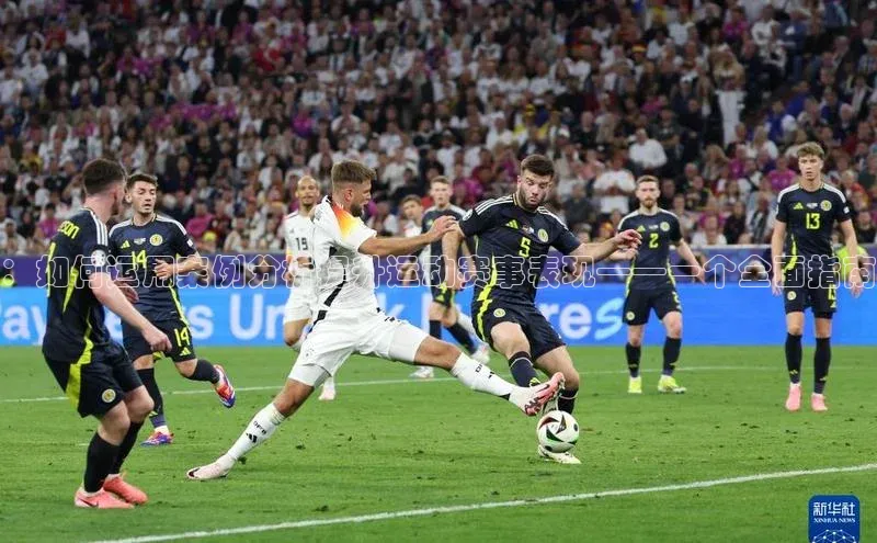 ：如何运用案例分析提升运动赛事表现——一个全面指南