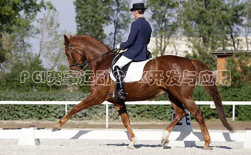 PGI赛事运动CDK开发与应用