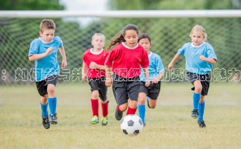 ：如何参与并体验顶级运动赛事的魅力