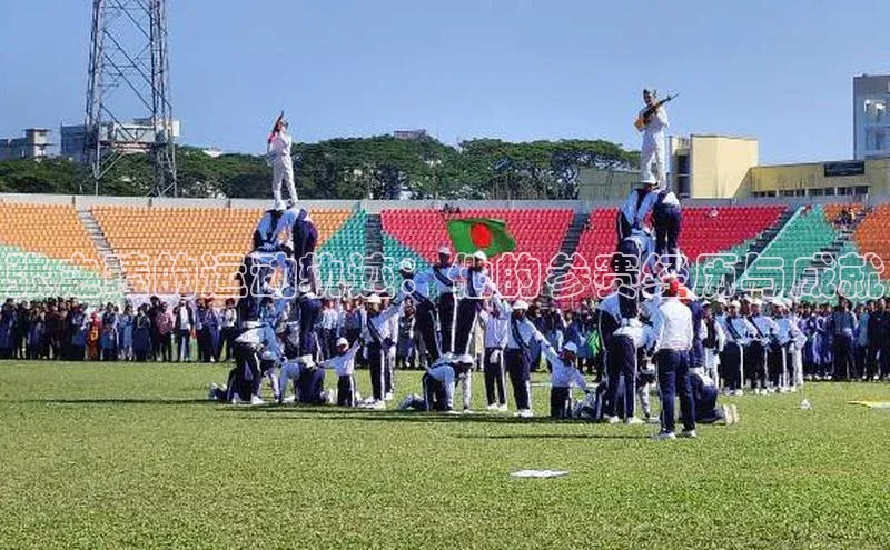 张之臻的运动轨迹：他的参赛经历与成就