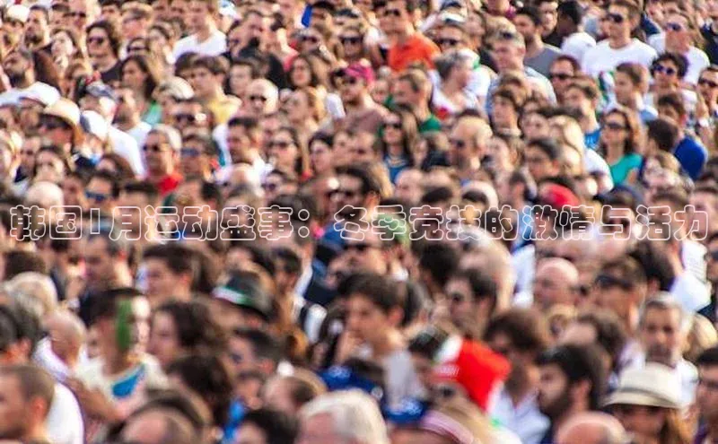 韩国1月运动盛事：冬季竞技的激情与活力