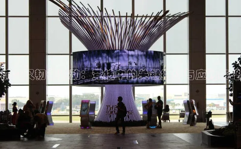 前交叉韧带运动：竞技中的关键挑战与应对策略