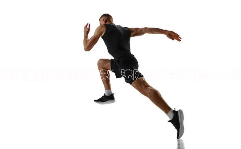 网球运动的巅峰对决：法网公开赛回顾与分析