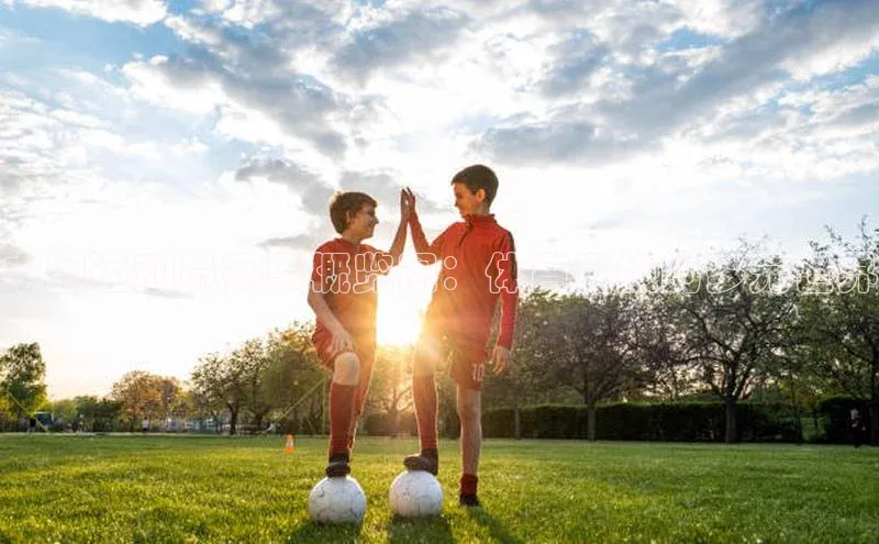 中国运动员赛事概览图：体育竞技的多元世界