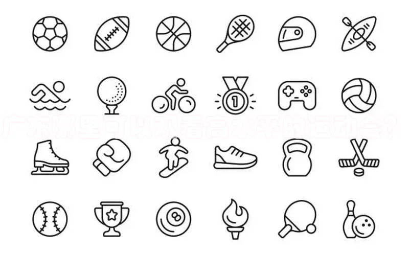 广东哪里可以观看高水平的运动会？