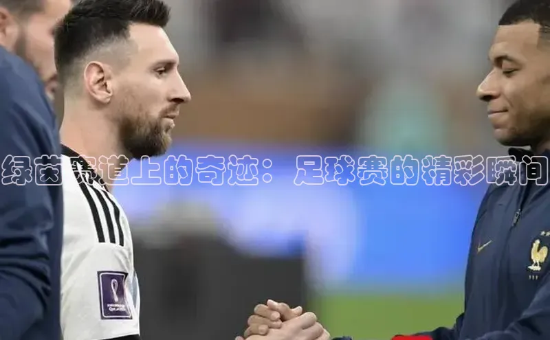 中欧体育app最新版本更新内容