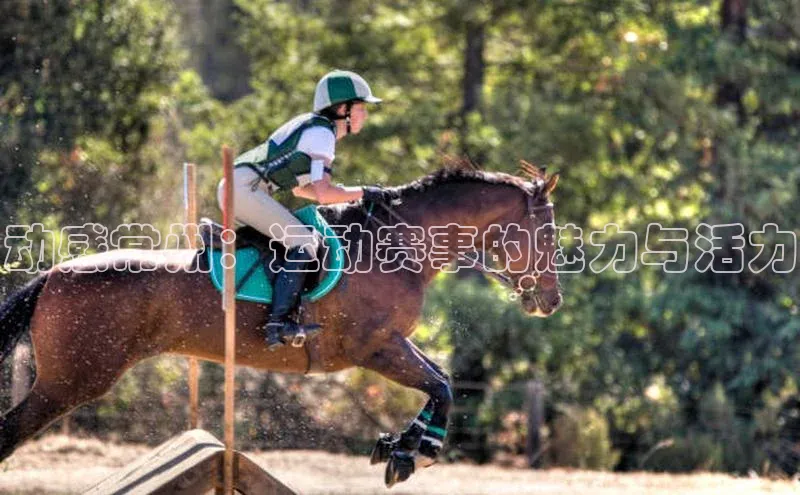 动感常州：运动赛事的魅力与活力