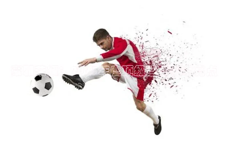 中欧体育官方网站链接