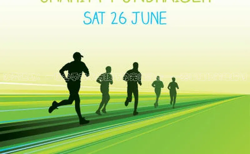 冰壶运动：一场冬季艺术与技巧的完美融合——赛事组织策略探讨