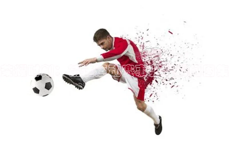 荣耀时刻：精选运动赛事获奖瞬间图集